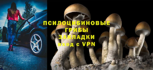 2c-b Алексин