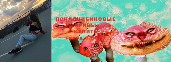 2c-b Алексин